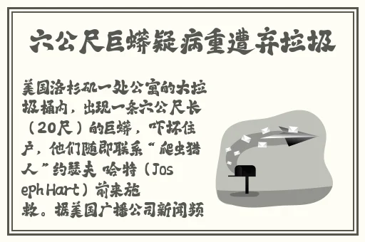 九阴真经在线网站入口免费